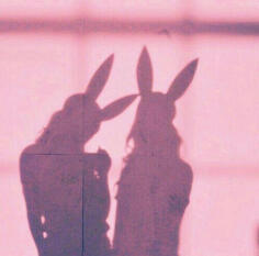 two playboy bunny shadows on a pink wall