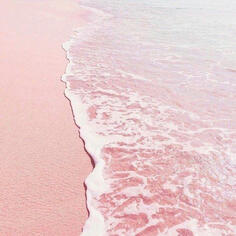 a pink ocean shore